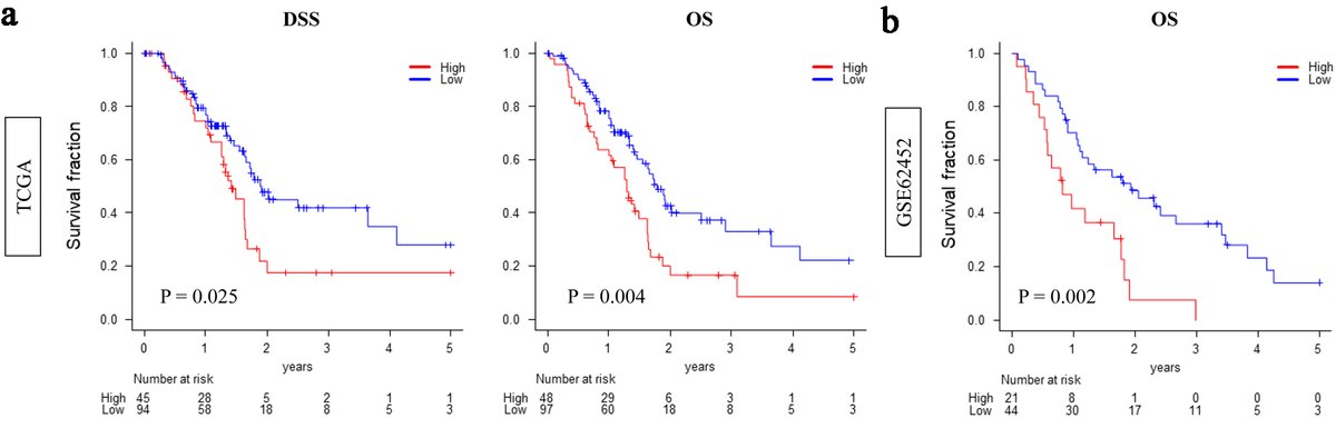 World Journal of Oncology tweet media
