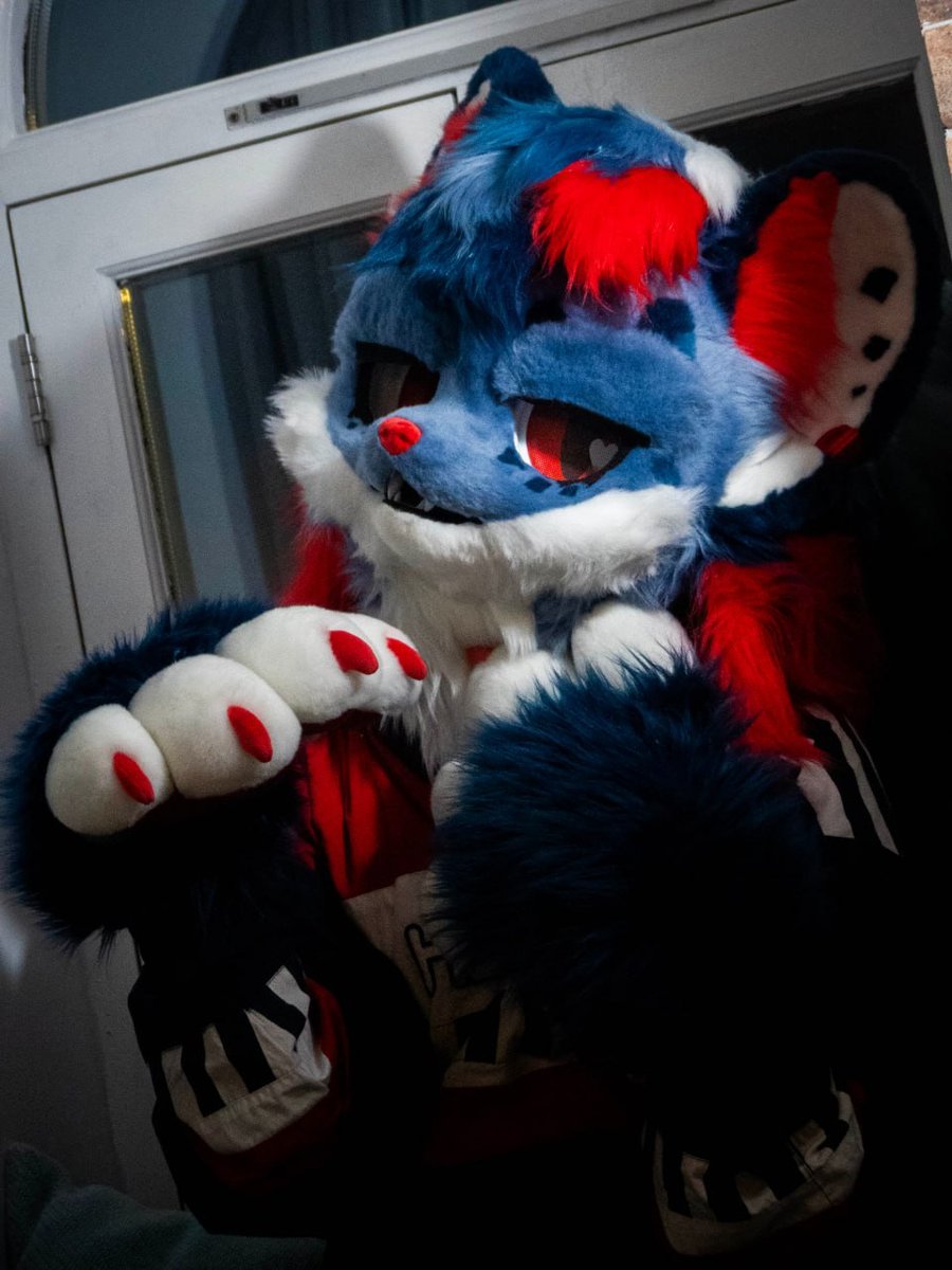 Lazy #FursuitFriday at home after Christmas :3

📸: <a href="/HoundySharp/">Sharp 🏳️‍🌈🏴󠁧󠁢󠁳󠁣󠁴󠁿</a>