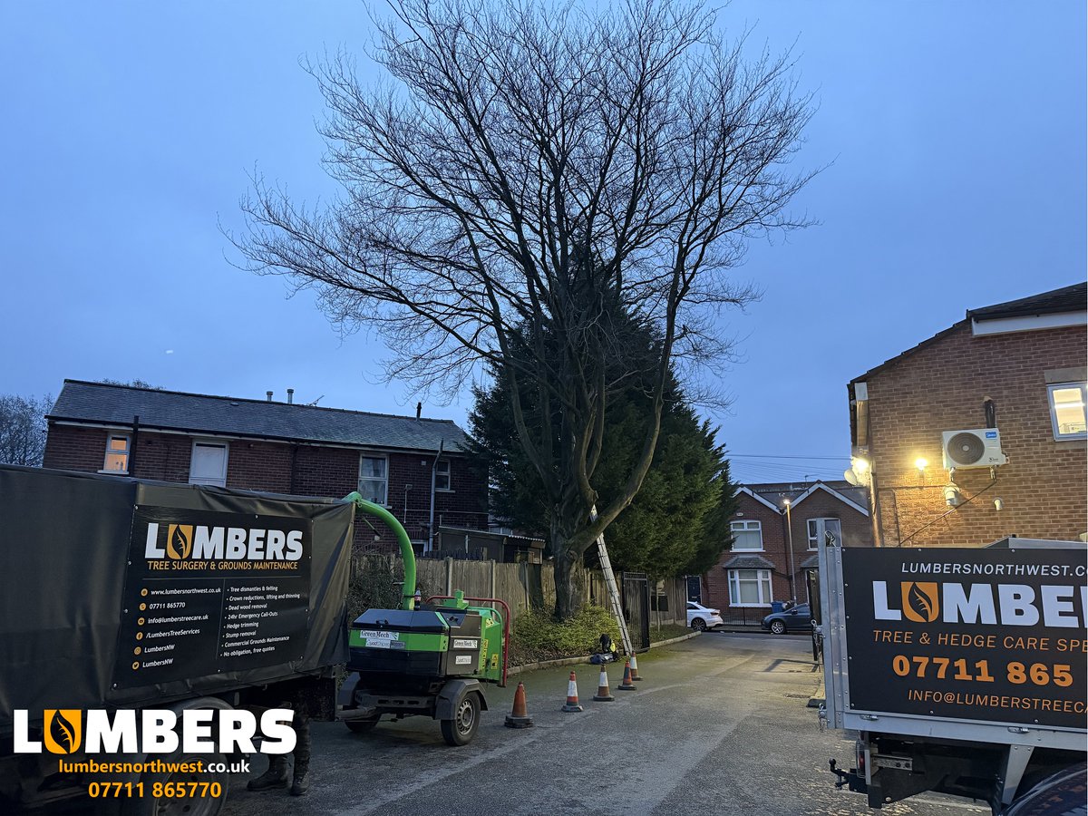 LumbersNW's tweet photo. 🌳 Beech Tree Dismantle – Specialist Works 🌳

For our commercial clients, Lumbers provides professional arboriculture services across the entire North West. For our residential customers, we focus closer to home, offering expert tree care throughout Wirral, Liverpool &amp; Chester https://t.co/R34SXIf7EE