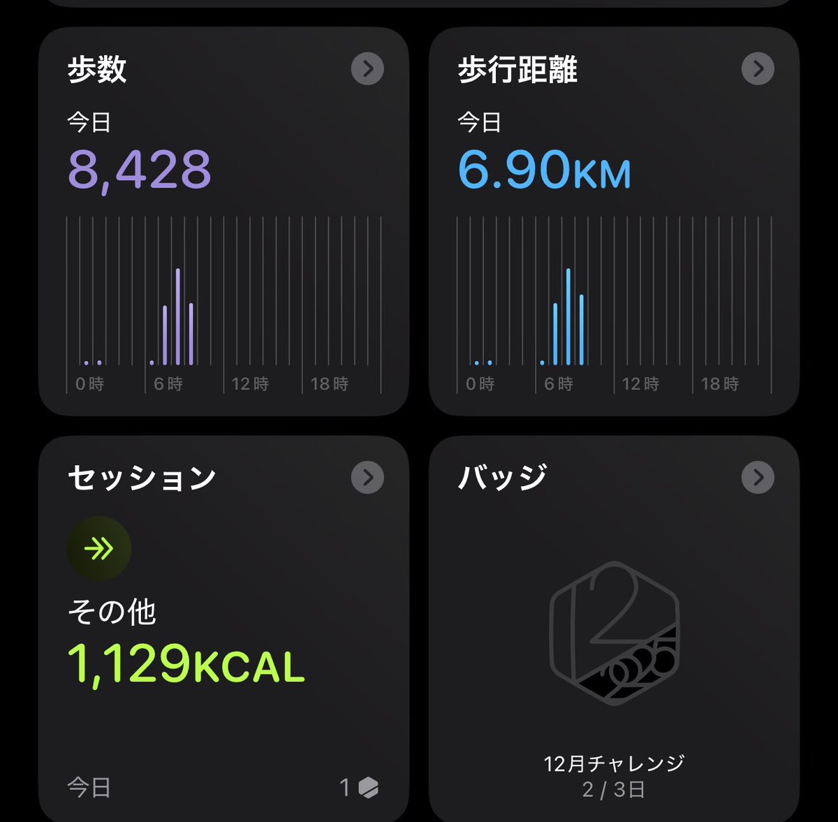 雪かき2時間超えの消費量🔥
エグい
#筋トレ #雪 #北海道