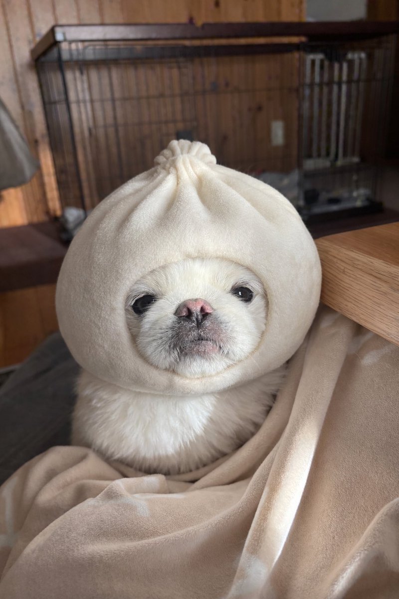 mofufufuzo_0130's tweet image. 