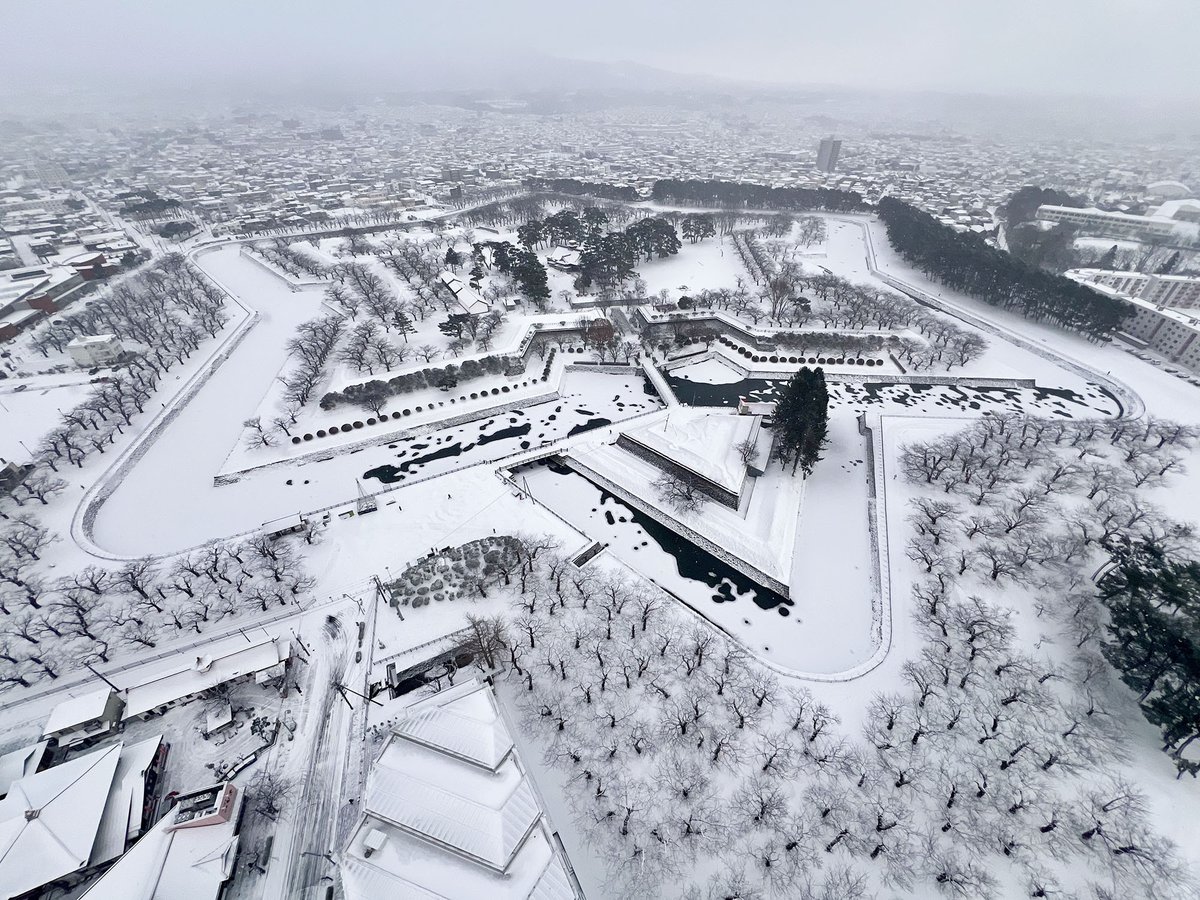 gota_kun's tweet image. 今日は細かい雪が降り続いている函館、五稜郭タワーの展望台からは、景色が雪で見えにくくなる場合がございますごーm(_ _)m ☃❄️

※朝9時頃撮影

#函館　#五稜郭