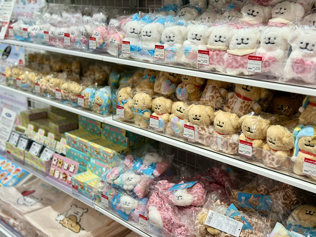 本日スタート／ Maltese(モルチーズ)ポップアップストア in ロフト