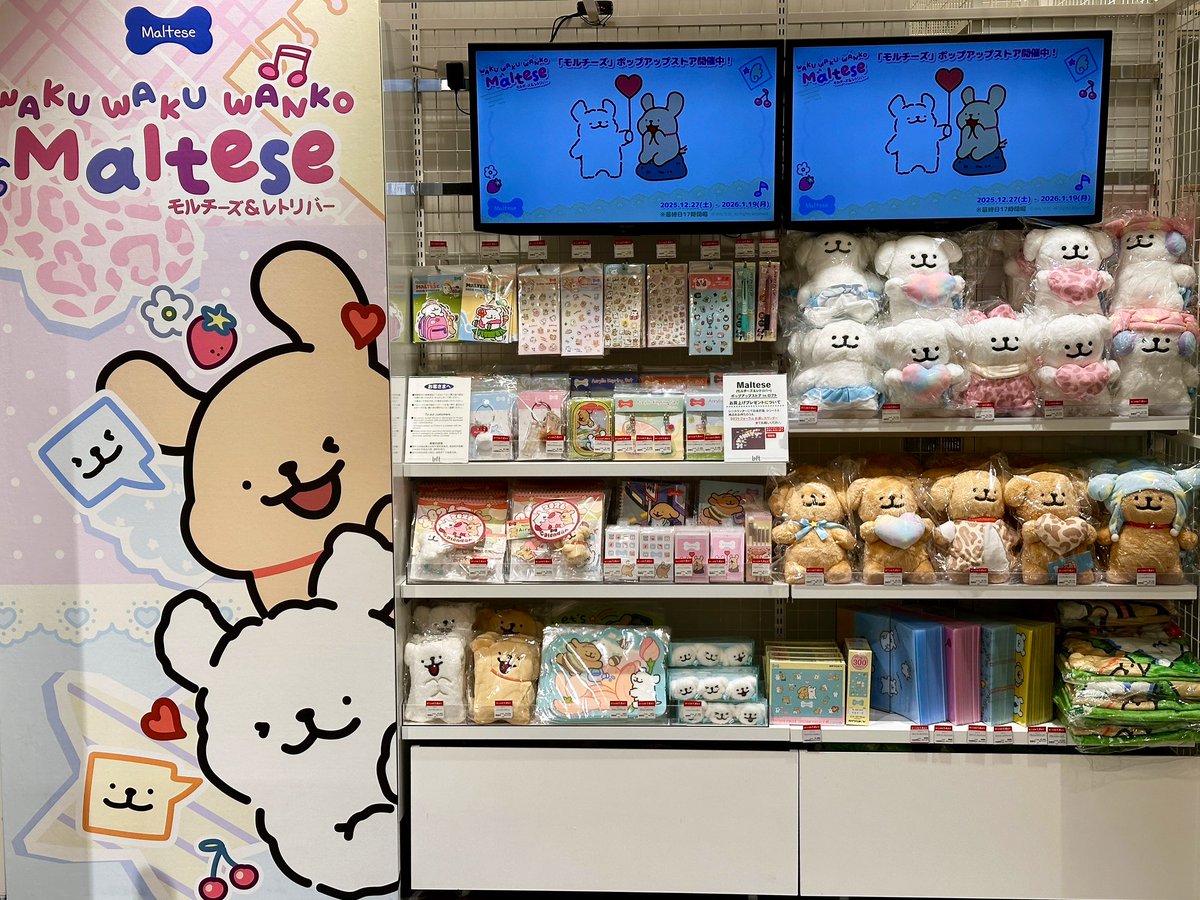 本日スタート／ Maltese(モルチーズ)ポップアップストア in ロフト