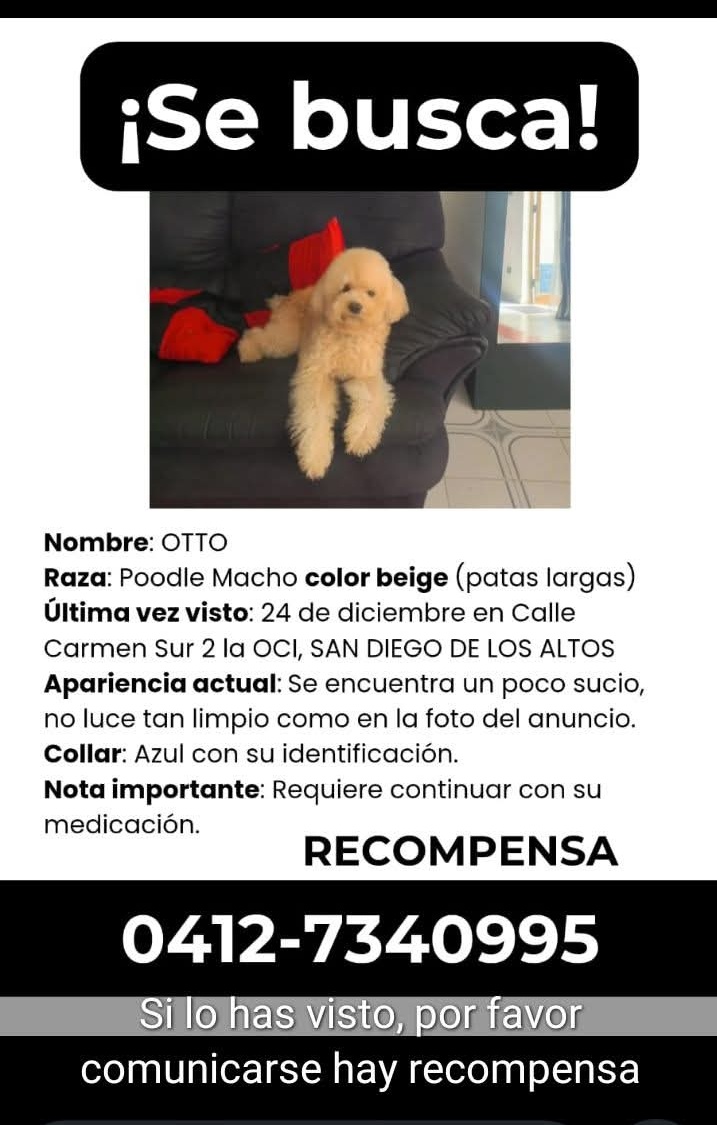 Se busca a Otto, San Diego de los Altos