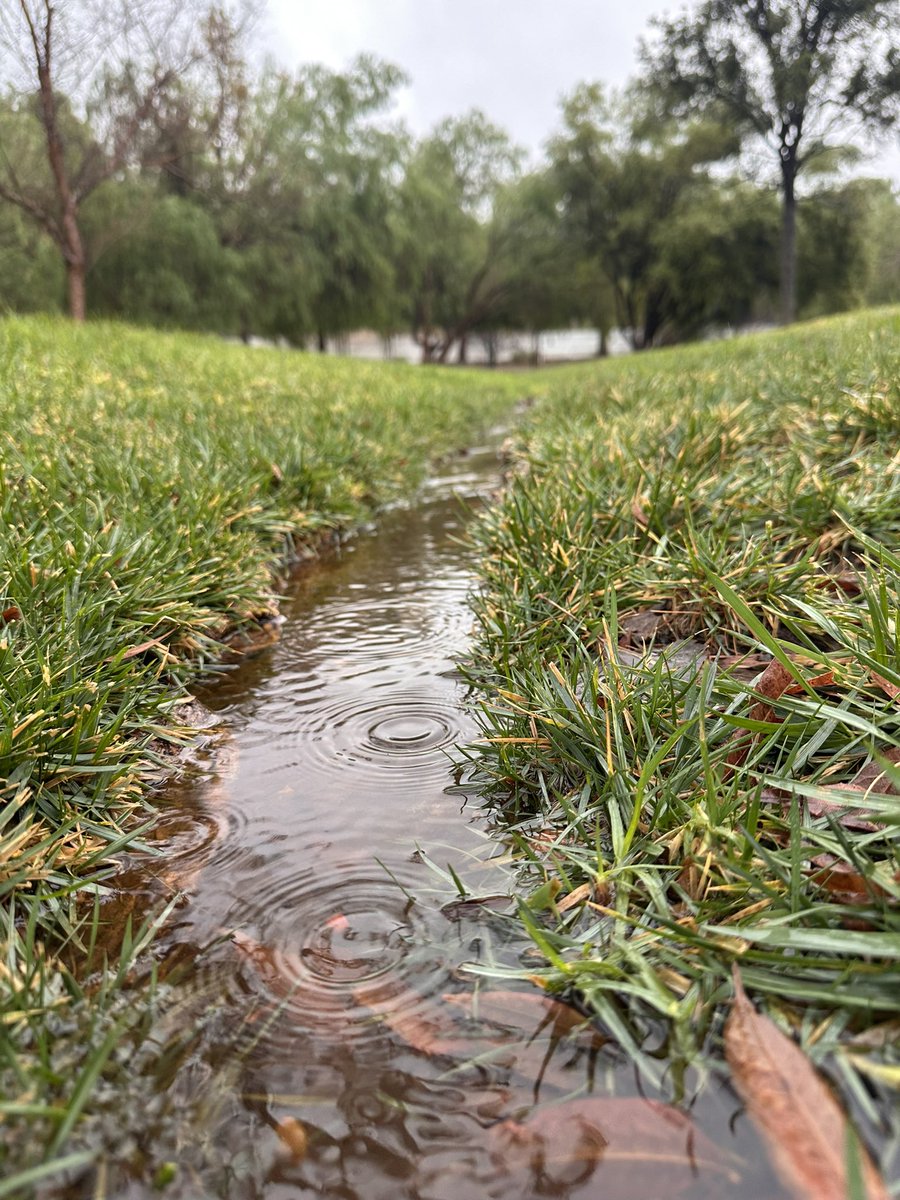 Peter Bowes tweet media