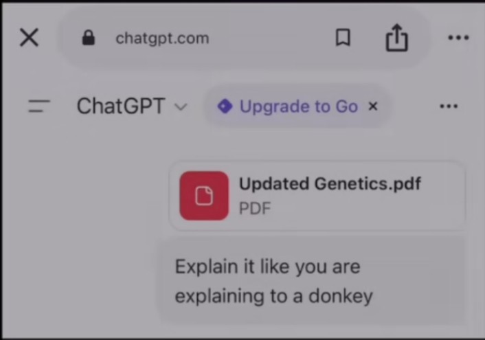 lochan_twt's tweet image. mfs one day before the exam :