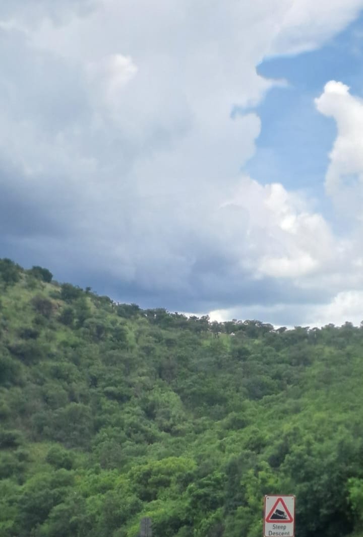 mmpurcell39's tweet image. Good morning ☀️