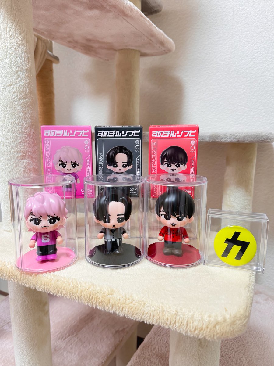 すのチルソフビ🖤🩷❤️ ケースに入れてみた💓 可愛い〜😍 2026年は