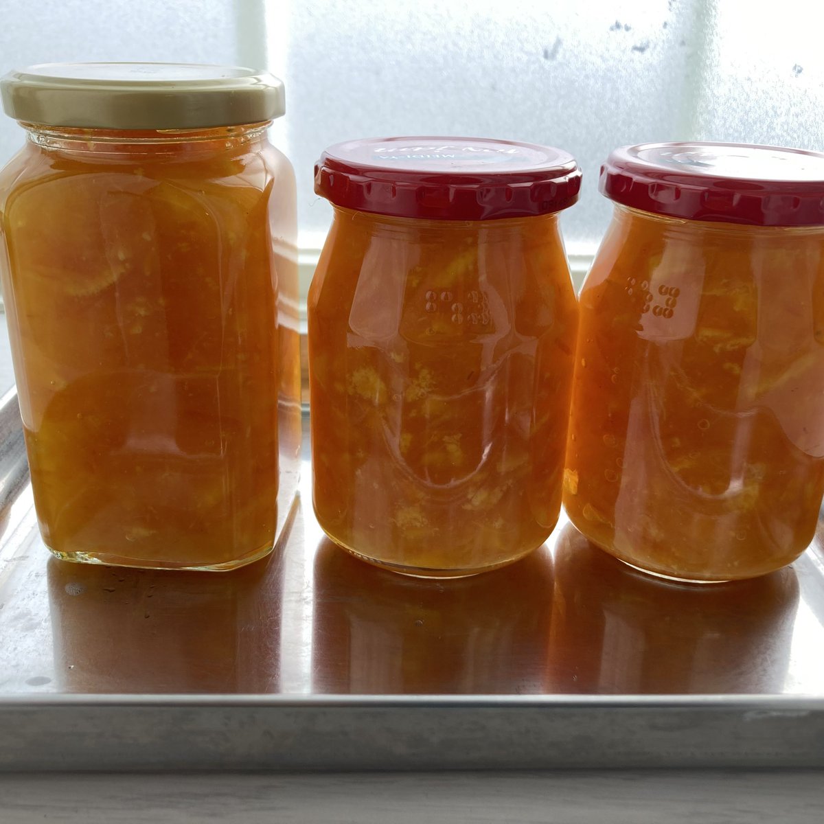 SharpKAIBUN's tweet image. みかんと金柑を山ほどもらったのでジャムに加工🍊🫙🌵