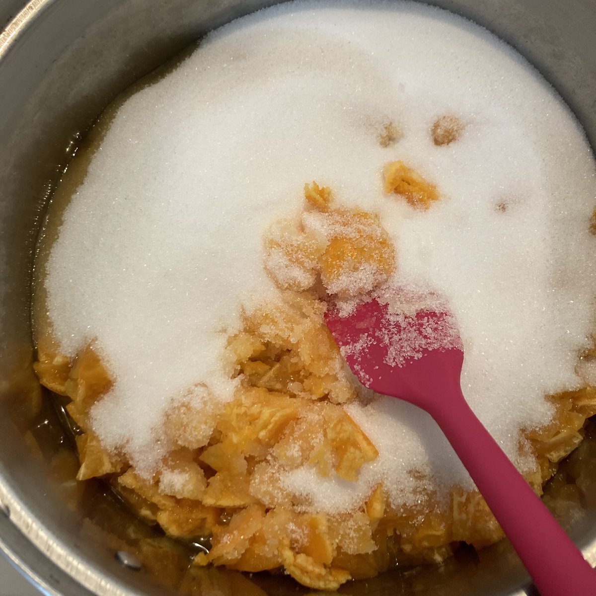 SharpKAIBUN's tweet image. みかんと金柑を山ほどもらったのでジャムに加工🍊🫙🌵