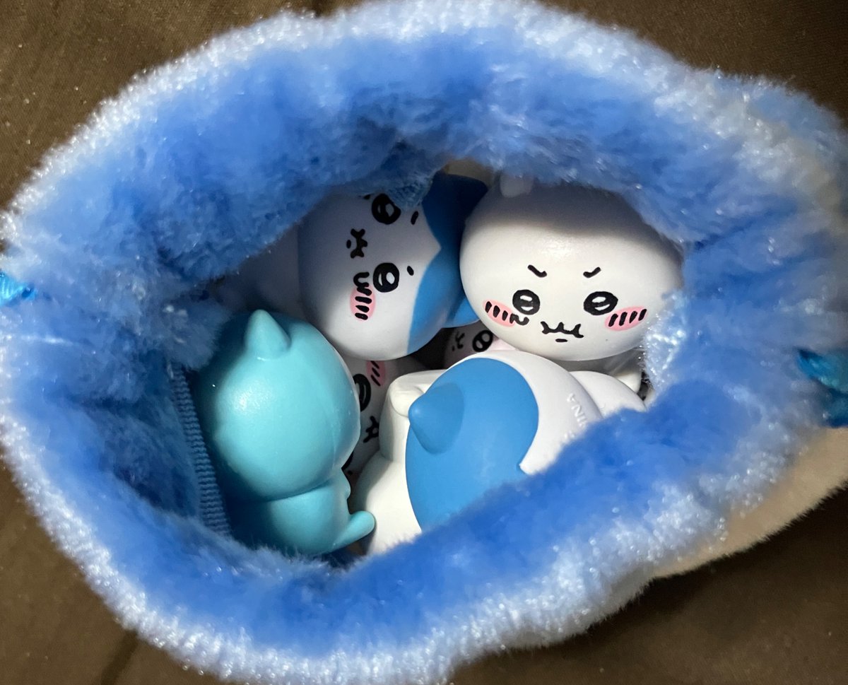 ちいハチまん (@romrom22517) / Posts / X