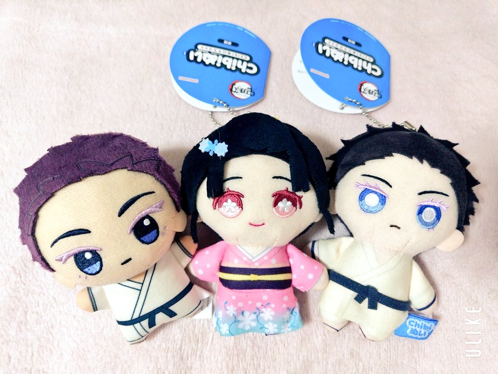 W狛治に囲まれる恋雪さま❄️❄️❄️