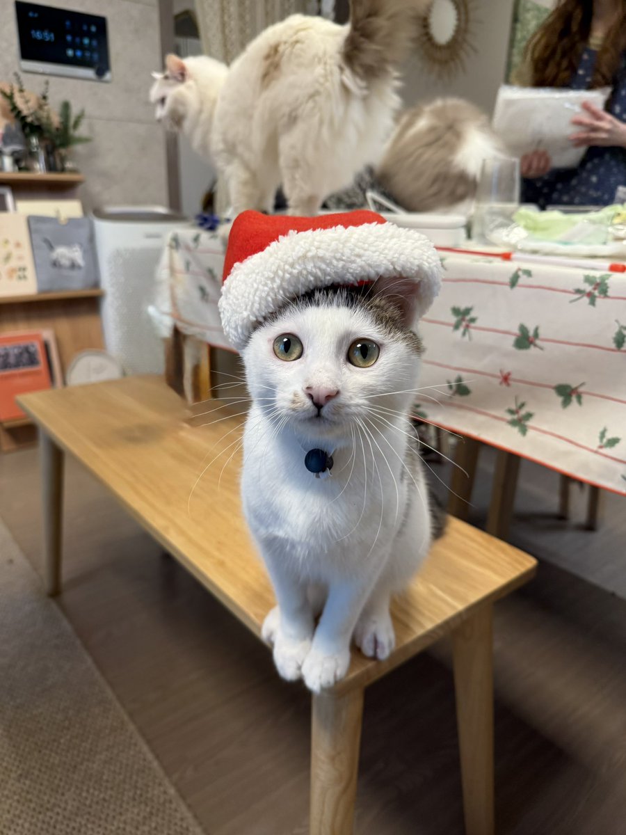 애용이 평생 가족찾기🏠 tweet media
