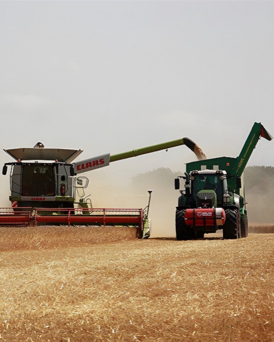 TÜİK verilerine göre, 2025 yılında tarım üretimi %30.9 azaldı.