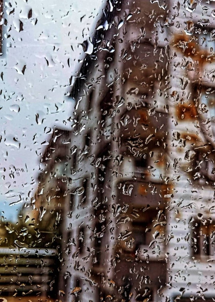 Güzel dilekler;
    Yüreği güzel insanlara yollanır.
                     Bugün de,
Bütün güzellikler sizinle  olsun .. #günaydın