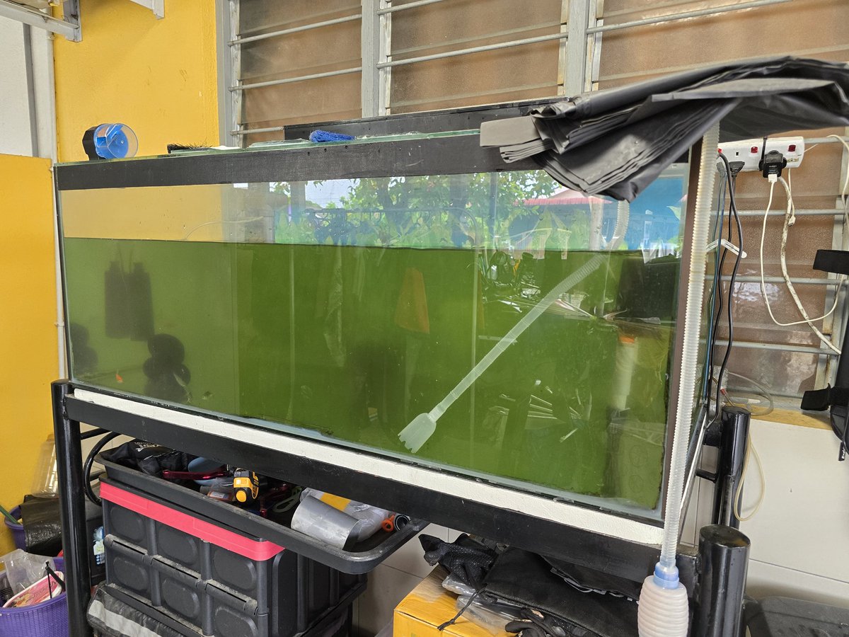 Cuci &amp; water change.

Agak² kalau letgo ada yang nak ke? 4x2x2, perlukan space &amp; suntuk masa untuk maintain.