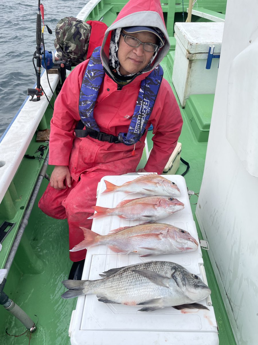 🎣【コマセ真鯛船】 真鯛 0.4〜1.6kg／0〜5枚（時点3枚✨） 外道