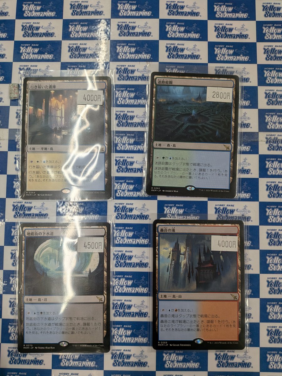 入荷情報】 ☆シングルコーナー情報☆ 《行き届いた書庫/Meticulous