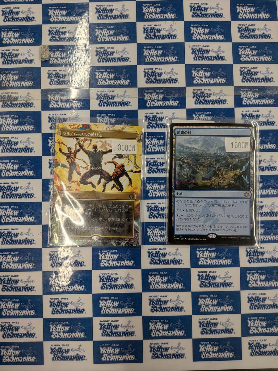 入荷情報】 ☆シングルコーナー情報☆ 《行き届いた書庫/Meticulous