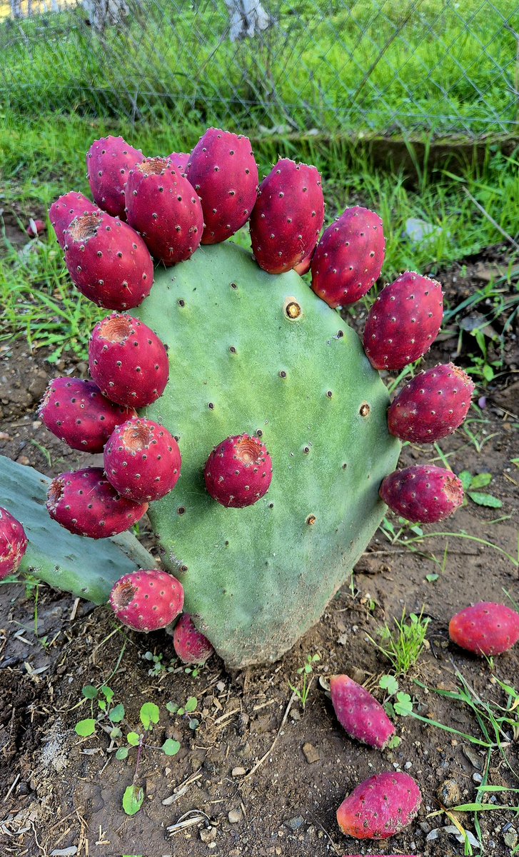 '
"Hangi hayat süslendi senin için bu kadar.."

📷 S.T.