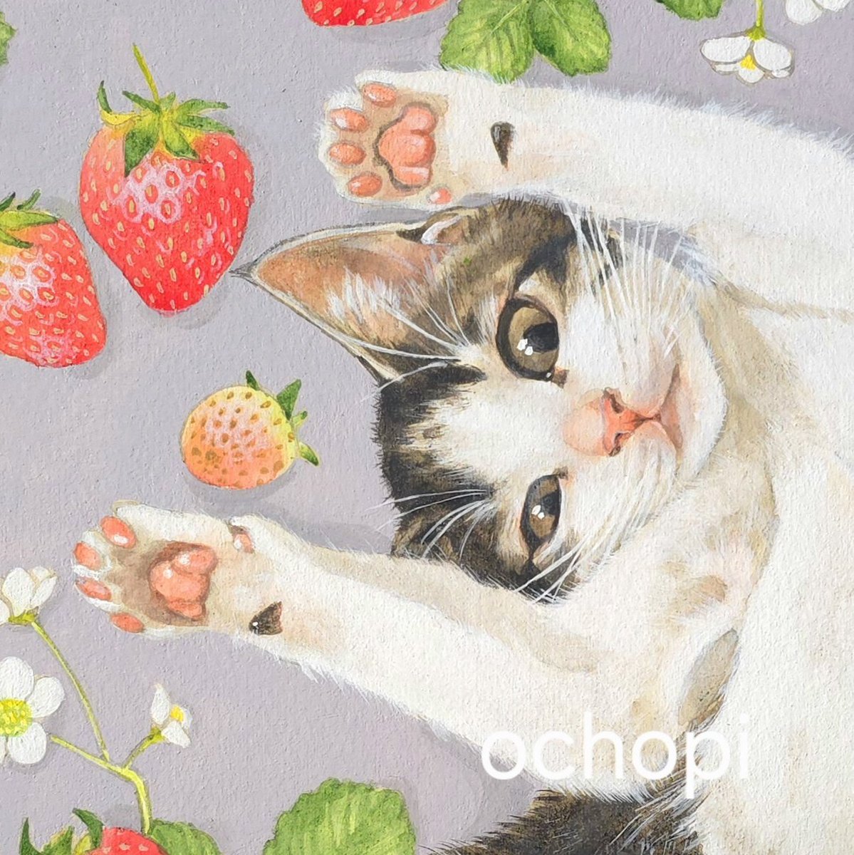 おちょぴ (@tagomagoooooo) / Posts / X