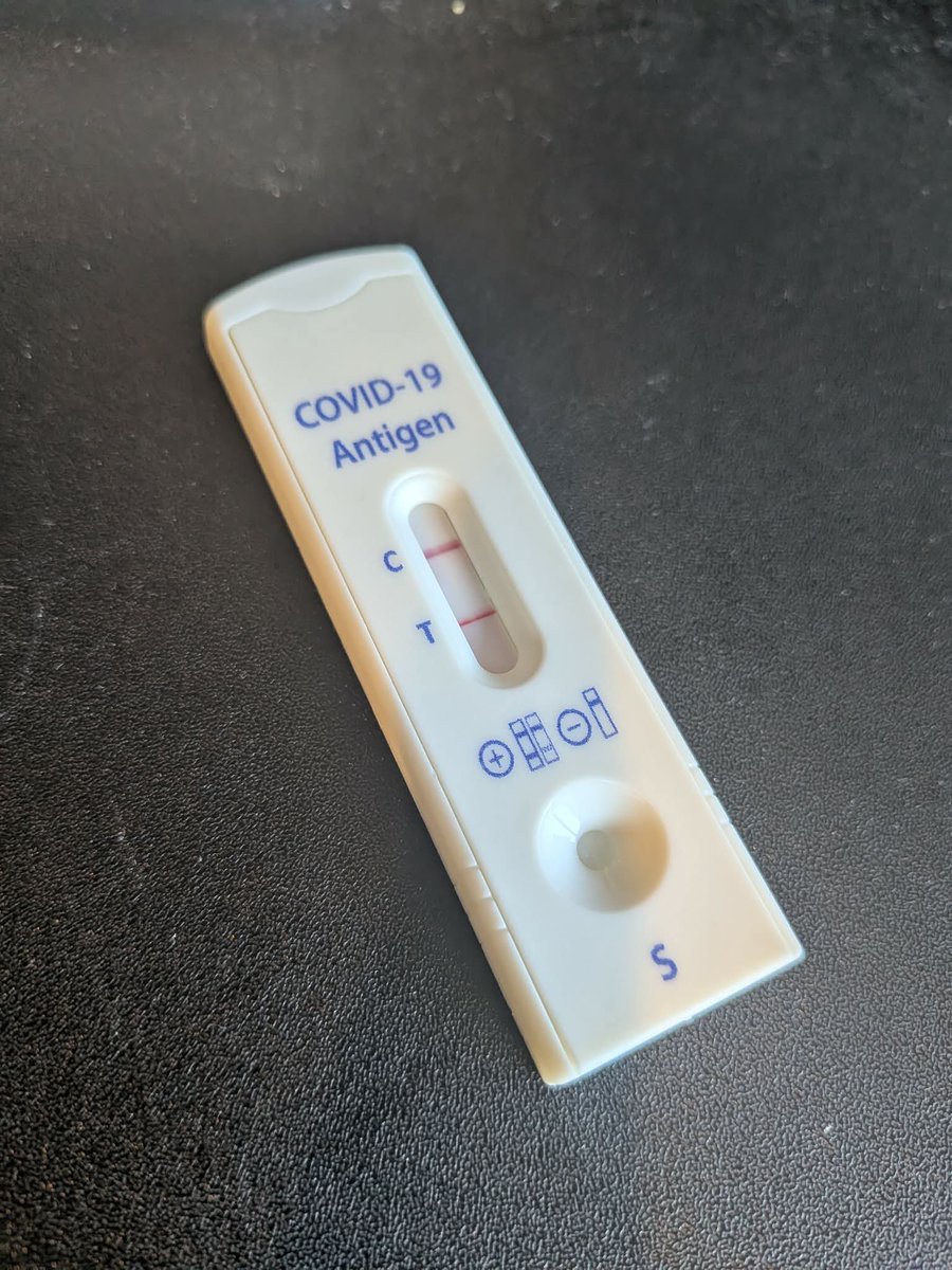 cookiekitcat 🍉 tweet media