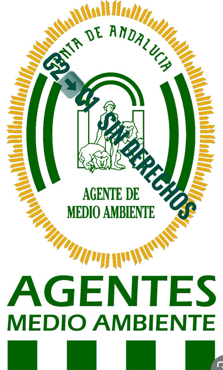 C2aC1SinDerechos tweet media