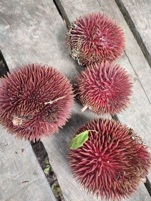 satoderie's tweet image. YUMMMMMMMMYYYYYY YIPPPPIEEEEEE😋😋😆😆