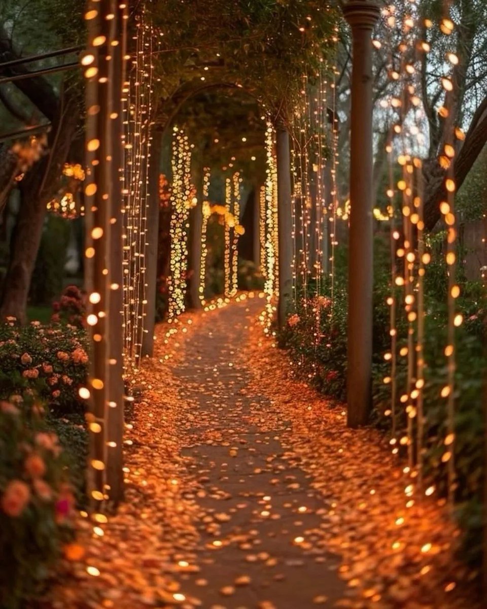 Aesthetics (@aestheticspost_) on Twitter photo 