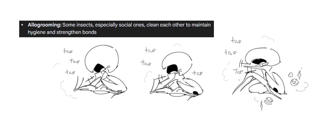 MeaowoOwo's tweet image. 