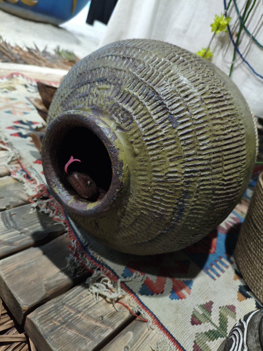 ツチノコ発見 #グラフェス2025