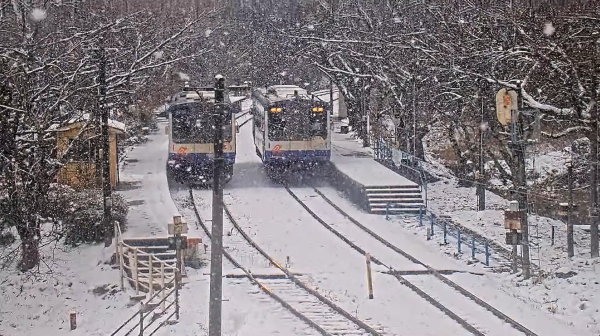 ライブカメラDB (@livecam_db) / Posts / X