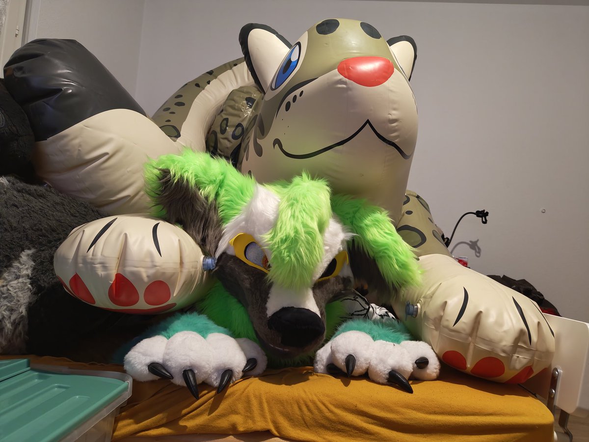 MintyPaws Sablefire tweet media