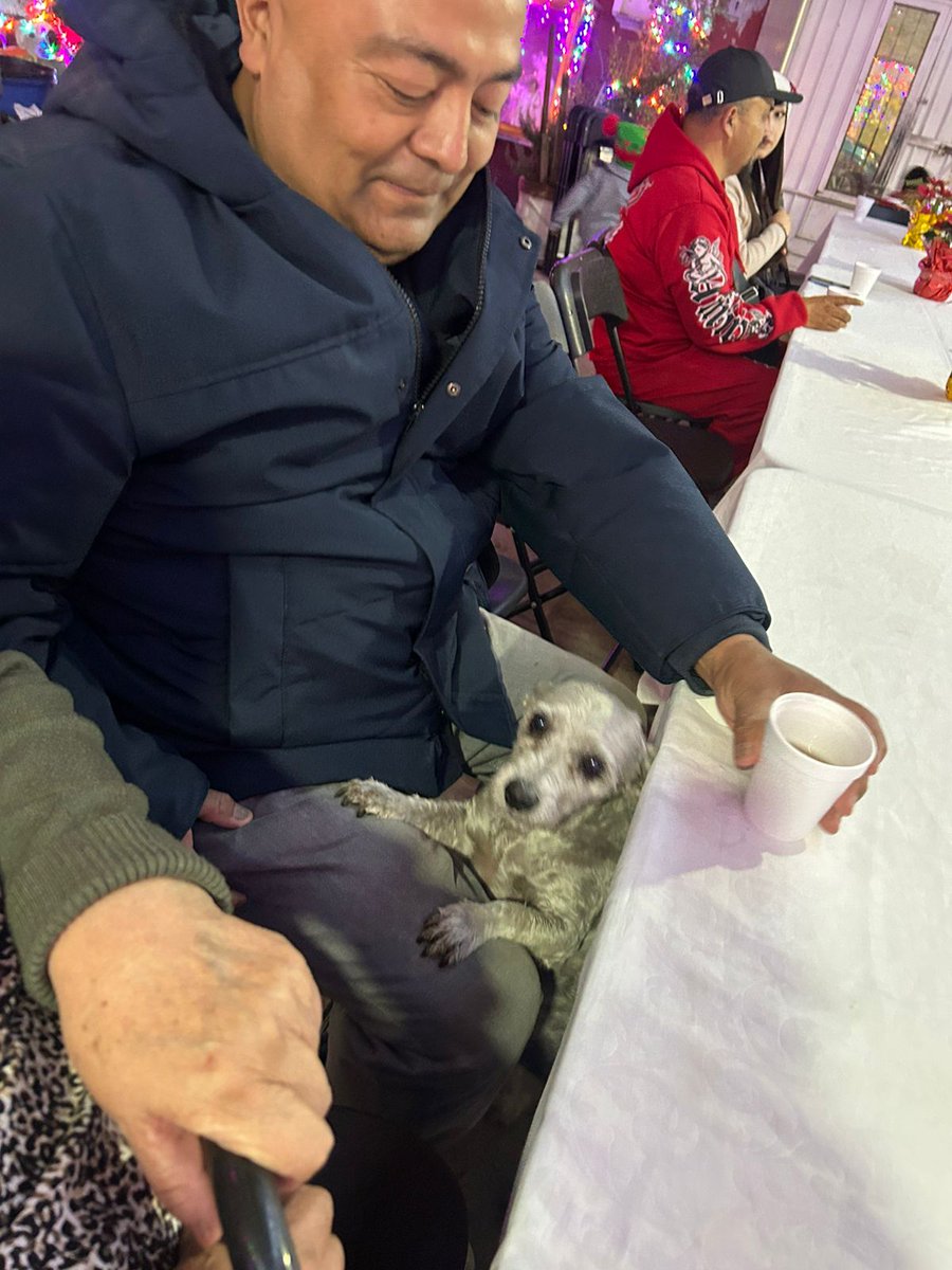 Feliz Navidad!!!🌲☃️🇲🇽 #cdmx