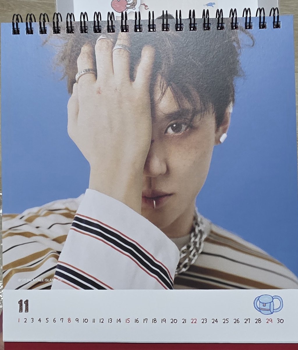 시그캘린더 11월 미치갰음😵