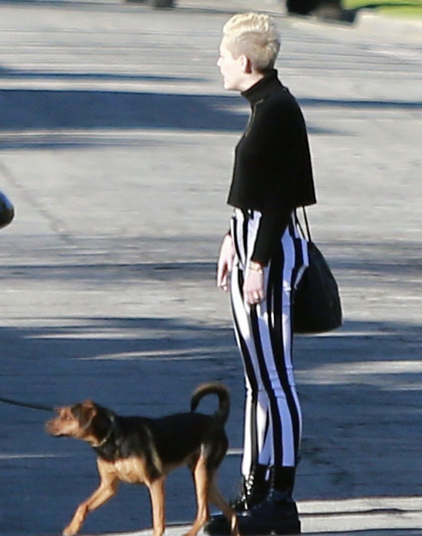 miley cyrus archive tweet media