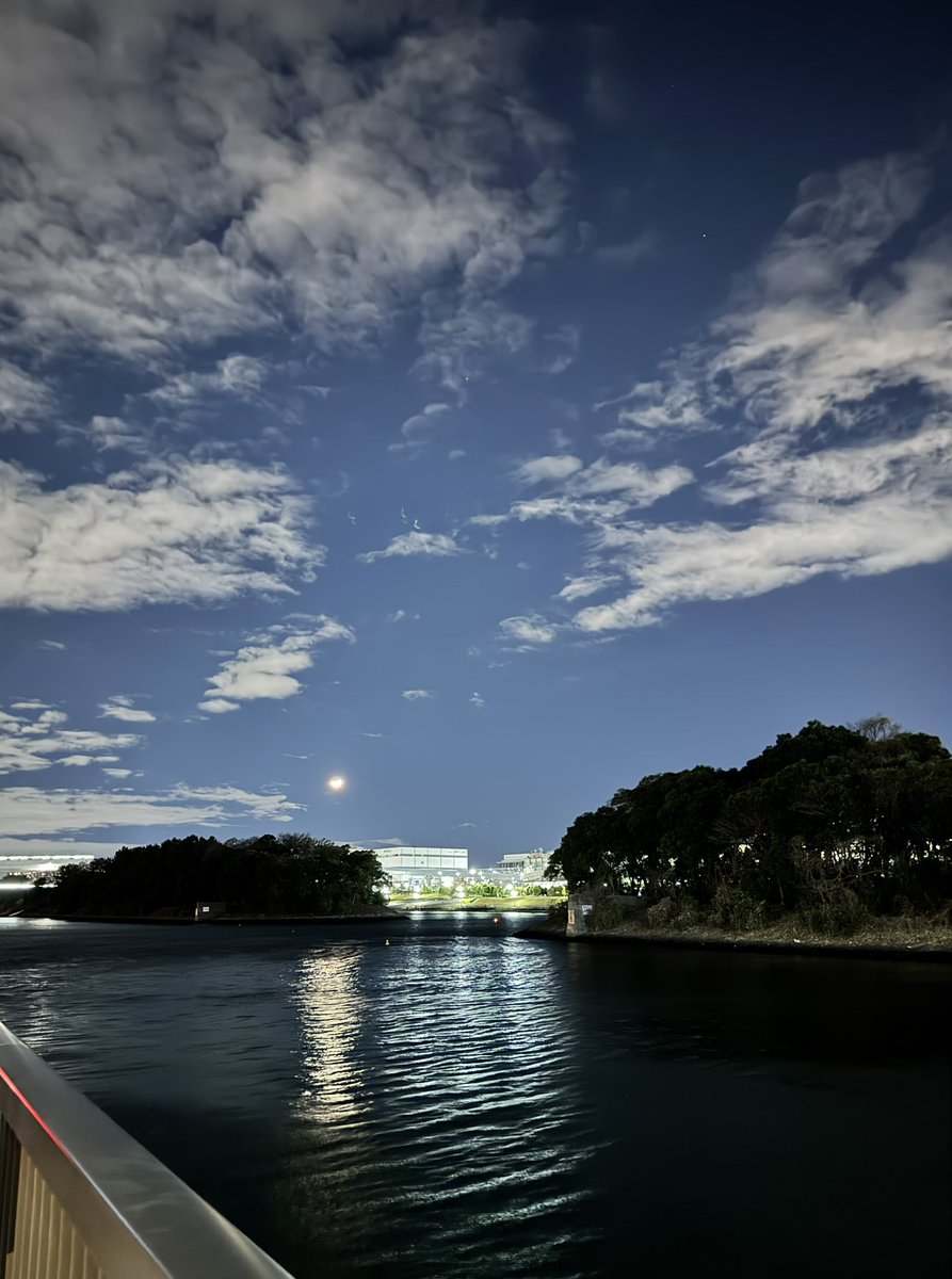 昨日の帰り道の月🌛
有明の月だ。
素敵な夜をありがとうございました✨
大晦日が待ち遠しい。
#RADWIMPS20th_TOUR