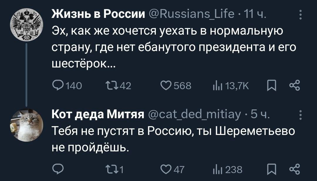 Знову в кiтле