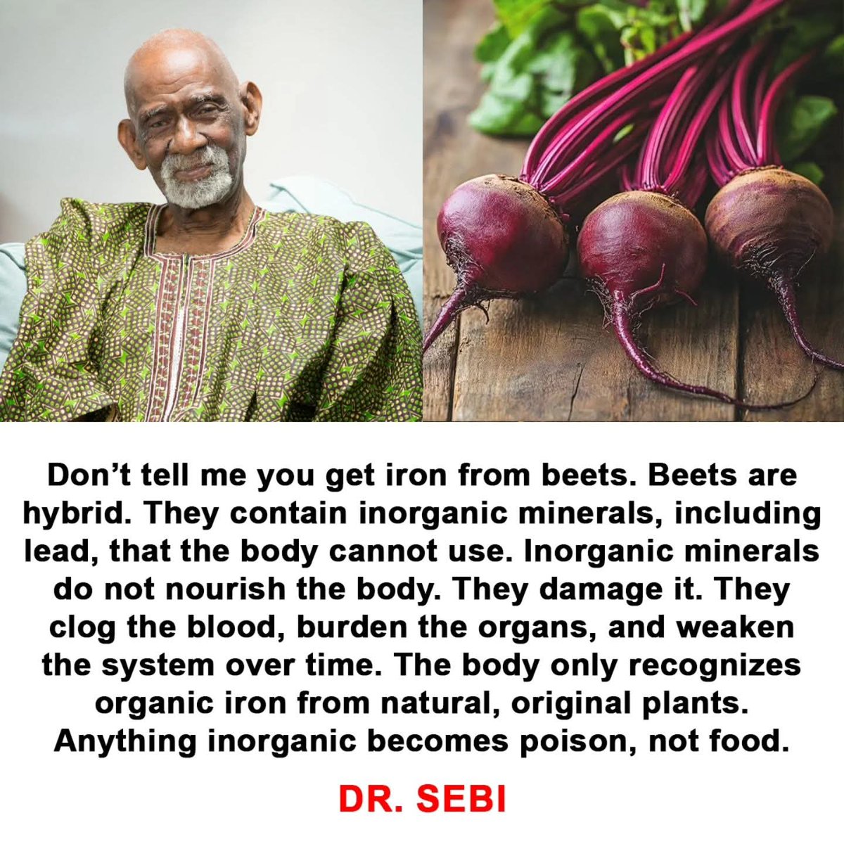 Dr. Sebi said that sickness is anemia.
Not lack of calories.
Not lack of protein.
Lack of usable iron.

Iron is the spark plug of the body.
It gives the blood strength.
It gives the cells energy.
It allows the body to rebuild itself.

Without iron, minerals don’t move.
Without