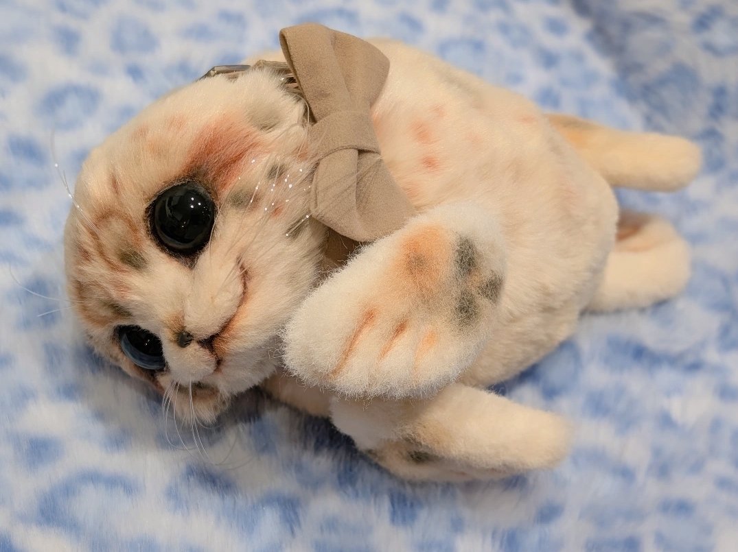 まめこ (@Mamekonokomame) / Posts / X