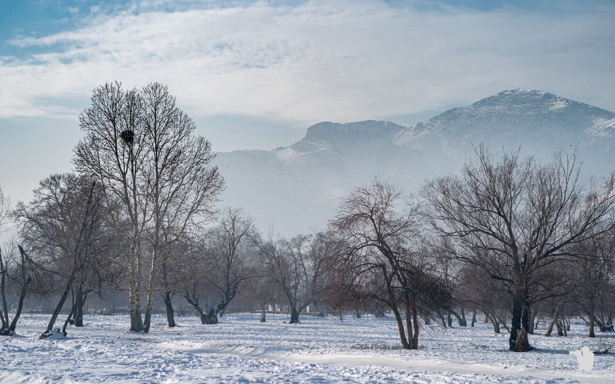 Нэгэн сайхан өдрийн мэнд ээ 👍🤗🇲🇳