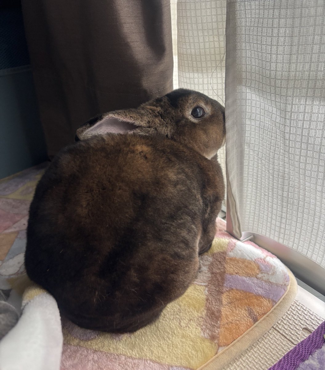 umai_ponzu's tweet image. 寒い匂いがするね