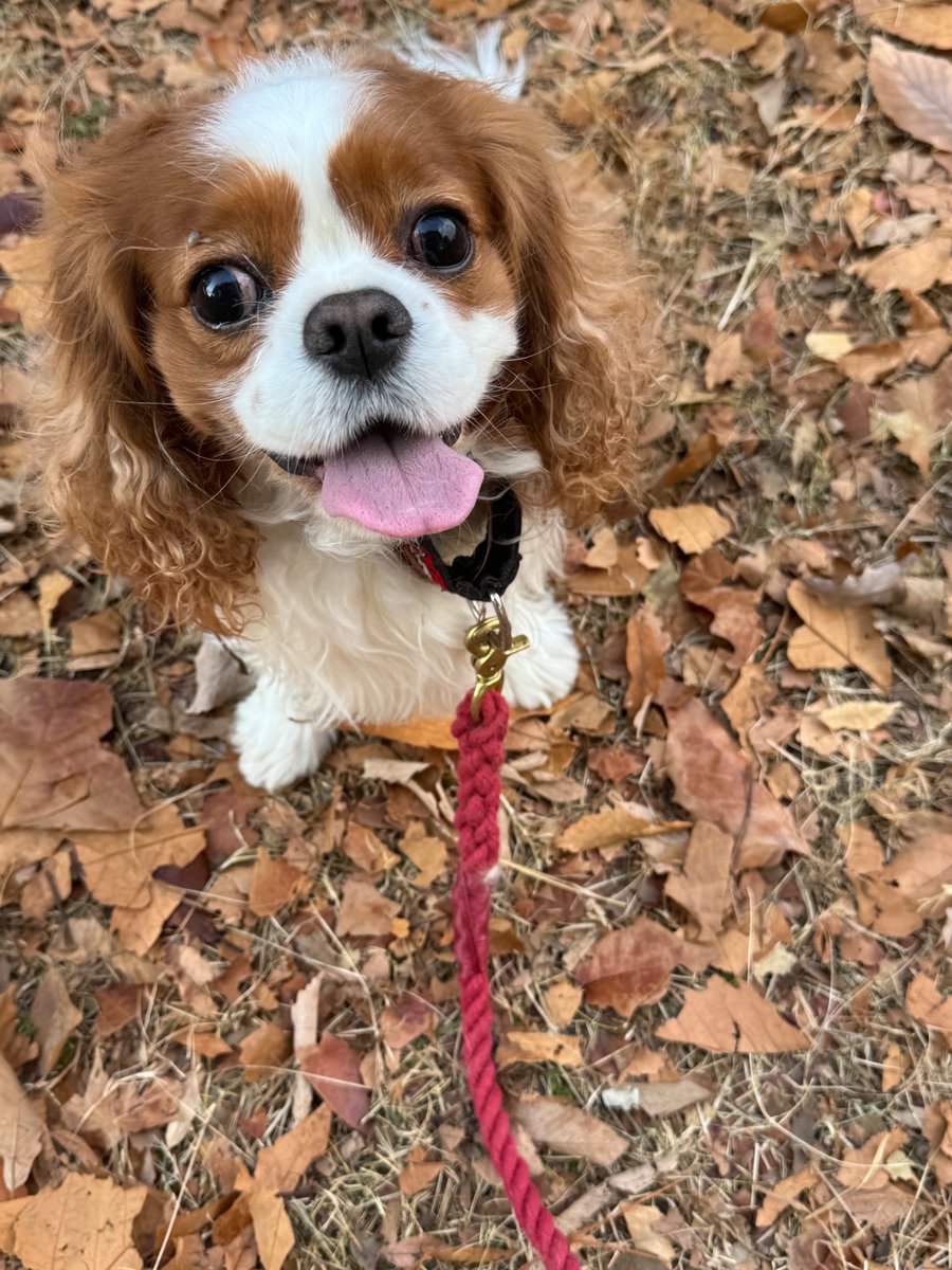 人生を豊かにする方法って、実は誰でも知っていて
過去にクヨクヨしないで
自分が持っている素晴らしいものに集中して
人の悪口を言わないで、前向きなことを口にする。
でも、これが何よりも難しいんですよね。