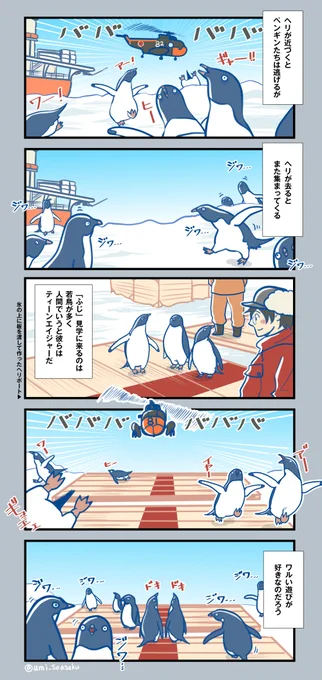 Q そもそもペンギンってなんで近づいてくるの?
A ペンギンの中でもワルなやつらだから 