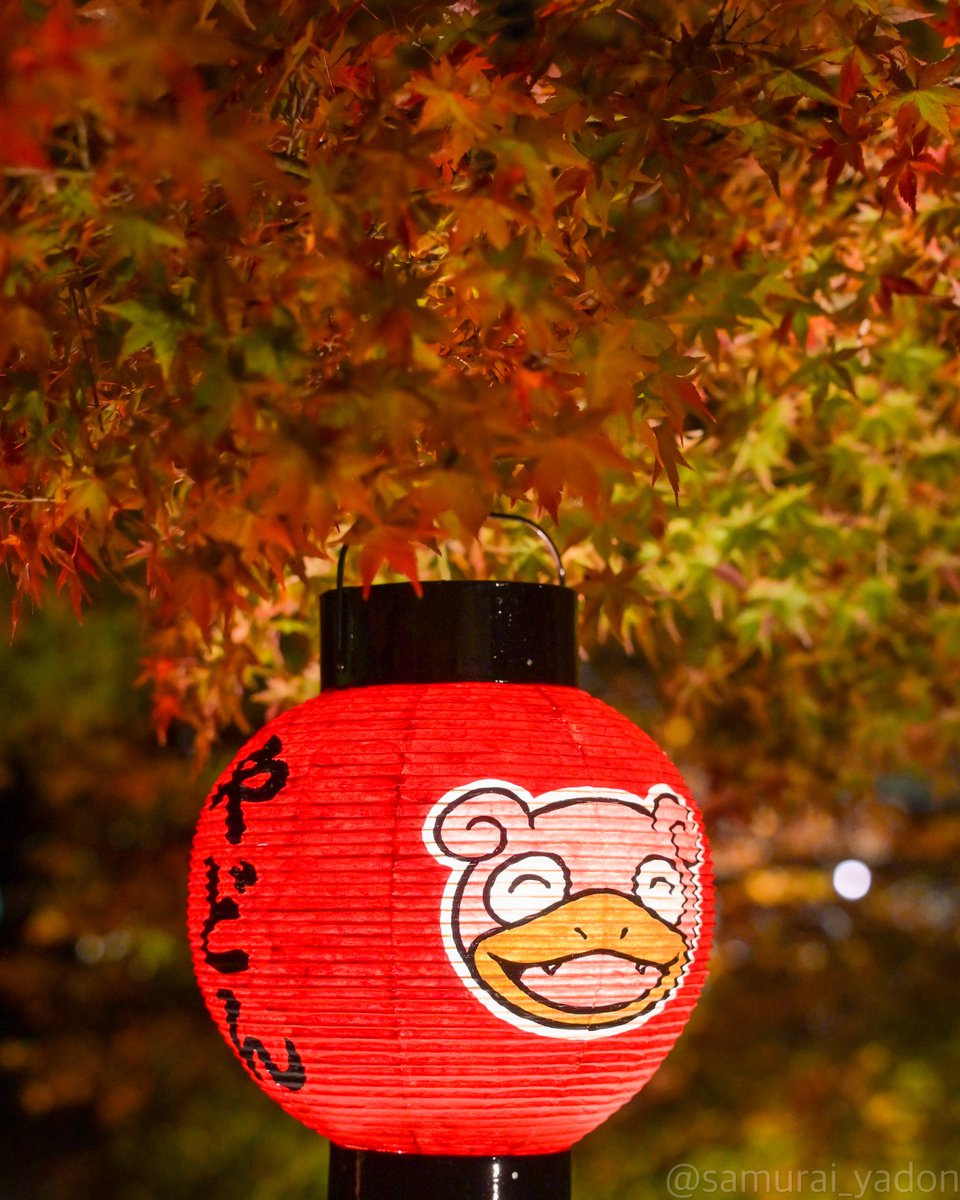 ヤドン提灯　ポケモンセンターカガワ 讃岐提灯 ヤドン ポケモンセンターカガワ - Meccha Japan