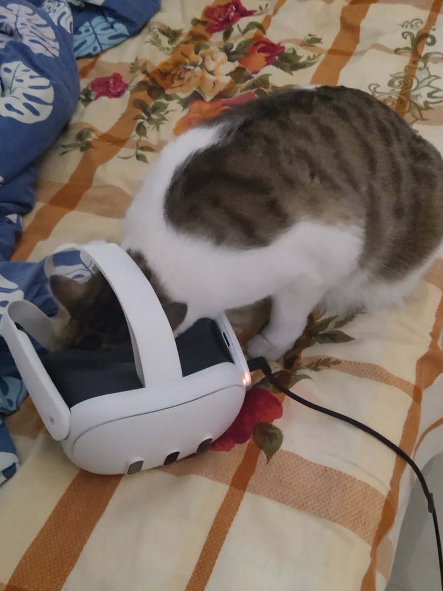 jiudaimiao's tweet photo. emmm，ok…it's me！🐱 https://t.co/jFXIOAxFhk