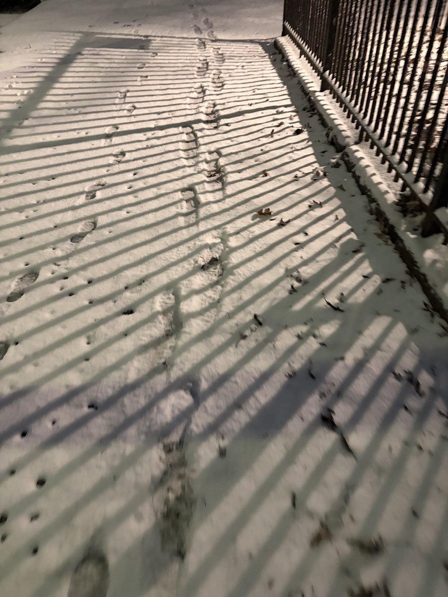 margaretsnatchr's tweet image. Boyfriend stormed off after an argument so now I’m doing some hunter gatherer shit to find his ass