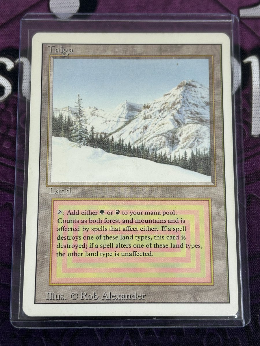 昨日MTGのデュアルランド「Taiga」を買い取らせて頂きました‼️ 状態は