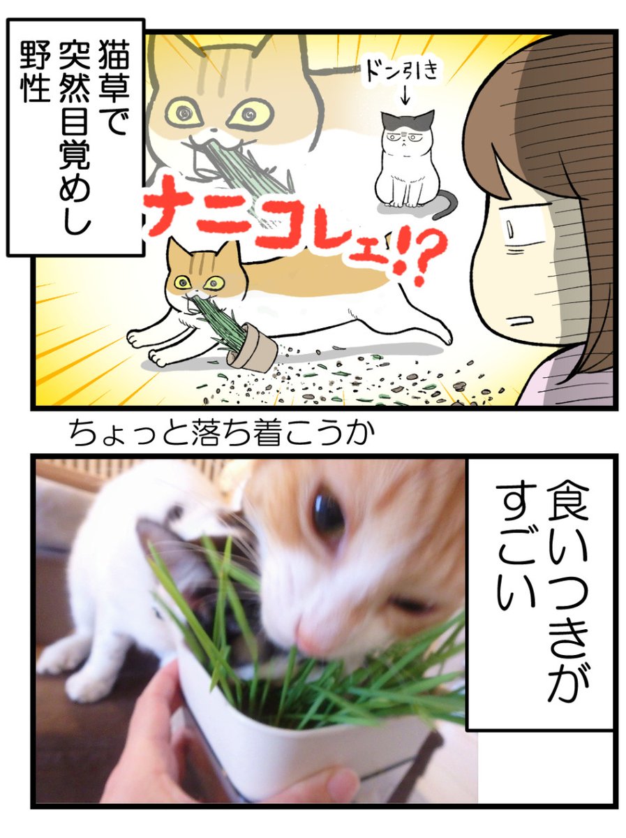 (2/2) 